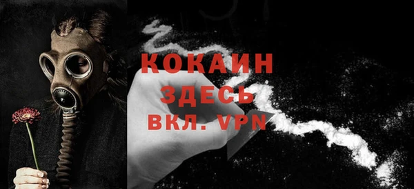 стафф Россошь