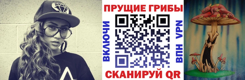 закладка  Карачев  Галлюциногенные грибы Psilocybe 
